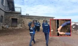 d328da29-effa-426b-be54-93c1e26344c7