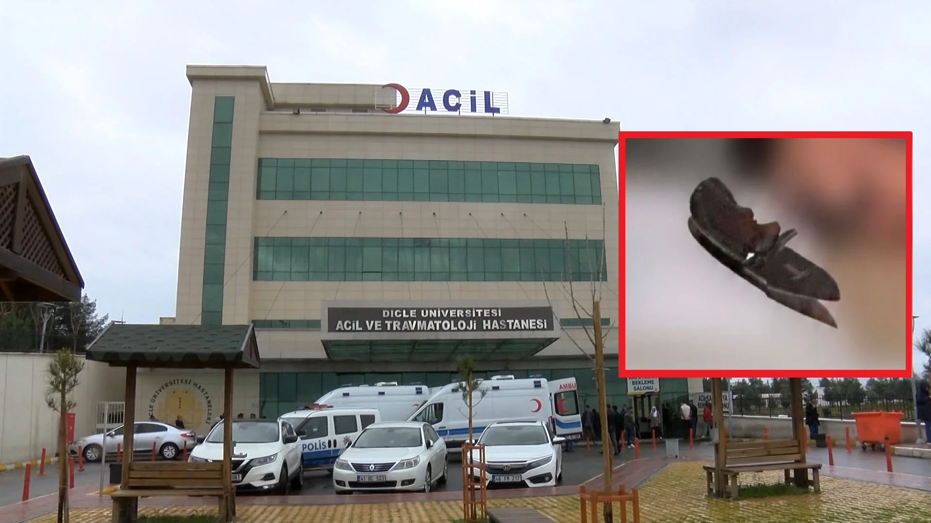 Diyarbakır’da Hekime Bıçak Çeken Şüpheli, Tutuklandı