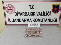 57569854-e715-44e8-87f7-b8d0469b0928