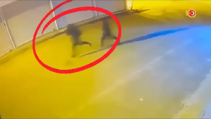 Diyarbakır’da Çıkar Amaçlı Silahlı Suç Örgütüne Operasyon: 15 Tutuklama
