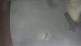 KASK .mp4_snapshot_00.10.463