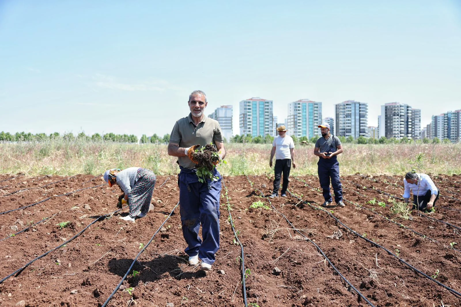 Kayapınar’da Tarım Komünü