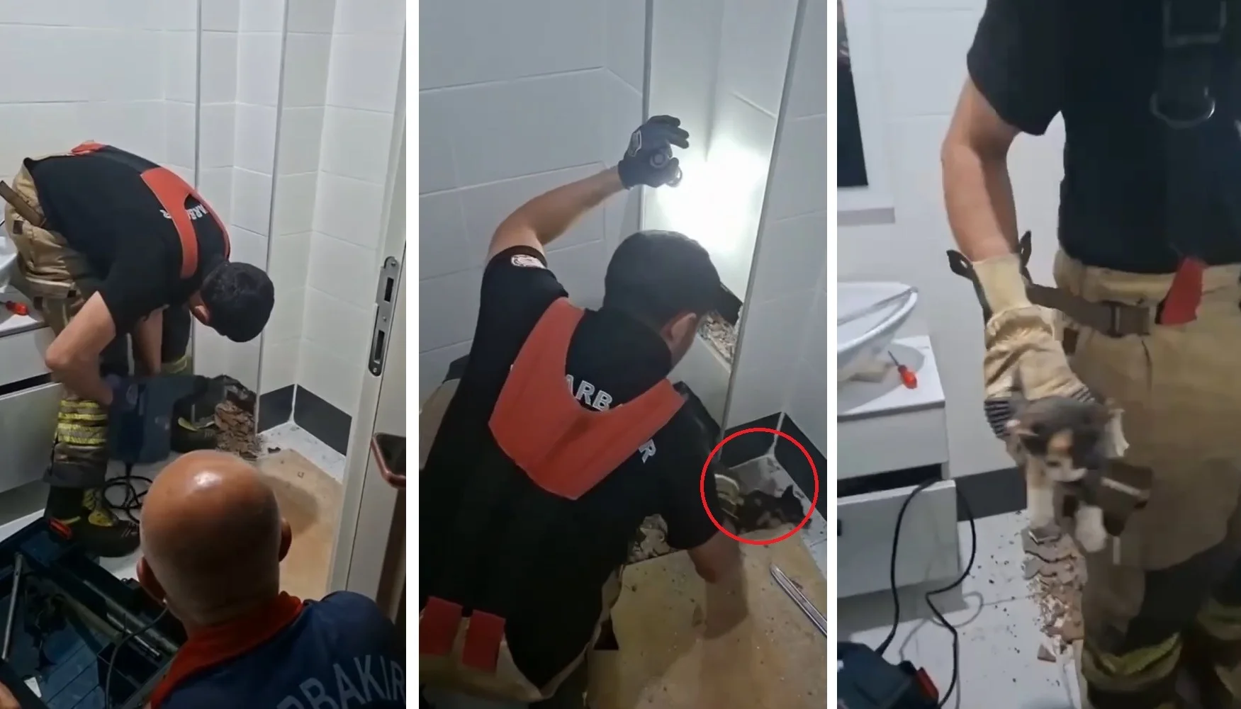Diyarbakır’da Havalandırma Boşluğunda Mahsur Kalan Kedi Kurtarıldı