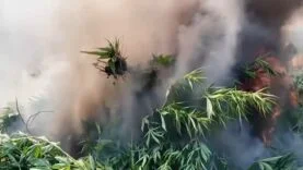 WhatsApp Video 2026-08-13 at 12.40.47.mp4_snapshot_01.02.784