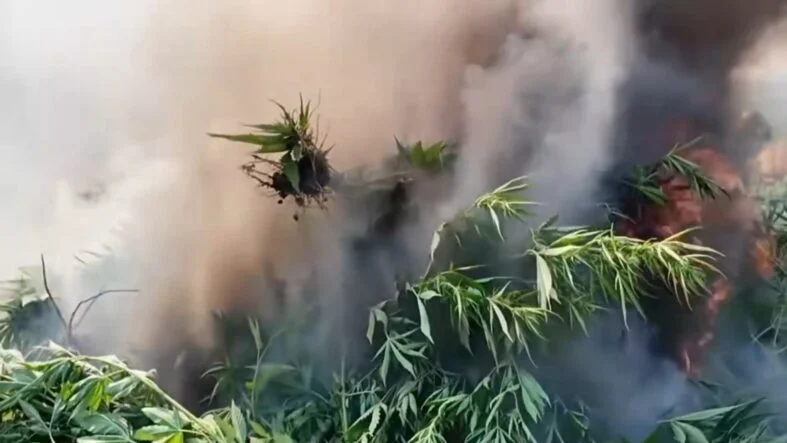 WhatsApp Video 2026-08-13 at 12.40.47.mp4_snapshot_01.02.784