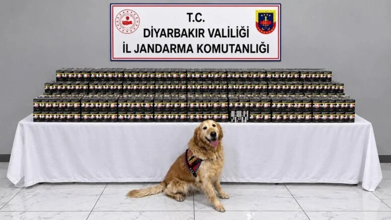 Diyarbakır’da Kaçakçılık Operasyonlarında 29 Şüpheli Hakkında İşlem